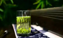 “嗜茶者”最不能錯(cuò)過(guò)的三款春茶