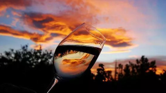 為什么說(shuō)葡萄酒是養(yǎng)生飲品，這里有最全的回答