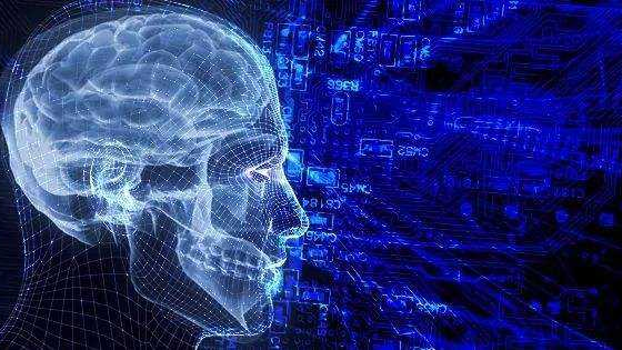 關(guān)于“數(shù)字中國(guó)”，你想